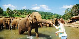 introduktionresa-till-kerala