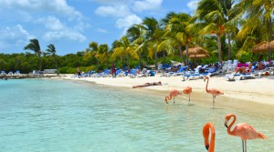 Till Aruba reser Du för att njuta av fina stränder