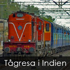 Tågresa i Indien